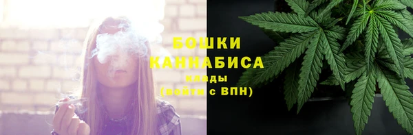 твердый Осинники
