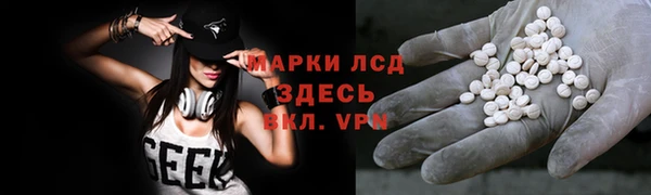 гашик Володарск
