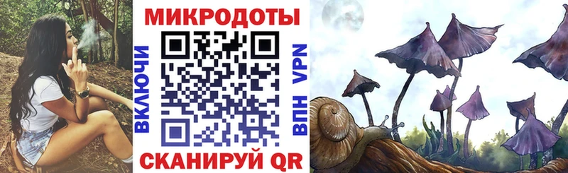 Псилоцибиновые грибы Cubensis Чаплыгин