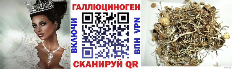 Псилоцибиновые грибы прущие грибы  мега вход  Чаплыгин 